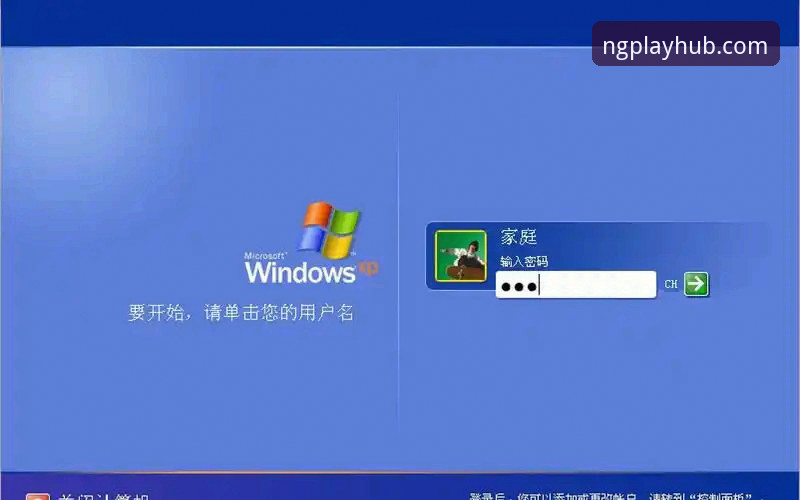 如何快速完成NG体育更新安装教程？从版本检查到重置密码全解析