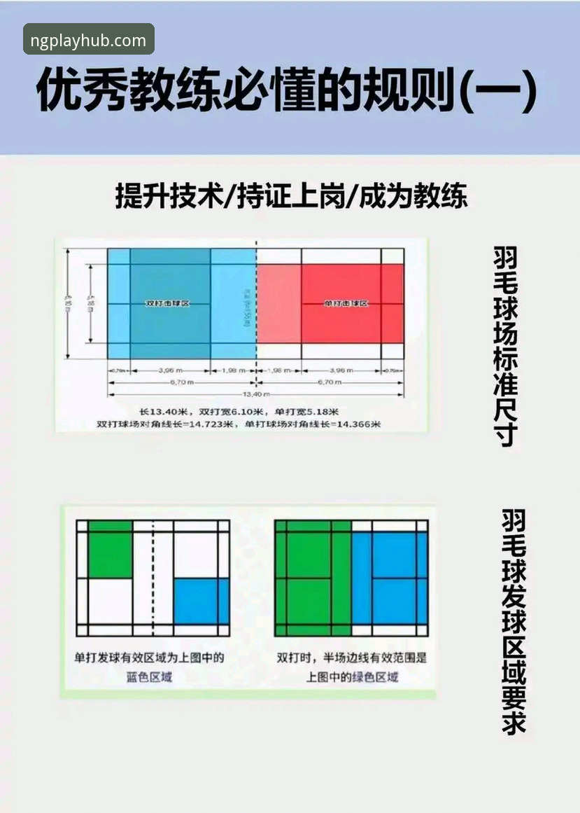 NG体育使用教程2026最新版本详解